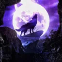 The Wolfs Den