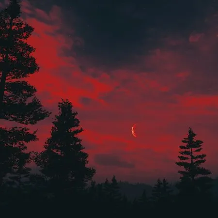 ❁❊𝙸𝙼𝙿𝙴𝚁𝙸𝙰𝙻❊❁ — мониторинг Discord сервера, статистика и рейтинг