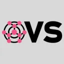 OVS Hosting