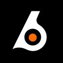 Birdeye icon