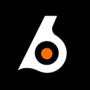 Birdeye Discord Server Icon