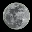 Moon🎑's server