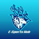 E-Sports HUB Discord Server Icon