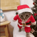 nerf â›„Â¹â¸âº Server Icon