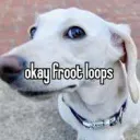 ⊰{💻}⊱ꝒᙀꝒТƠɌ'Ꚃ ⅮΞꚂϏТƠꝒ⊰{🌙}⊱