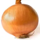 Oniontrepreneurs