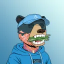 Sui Bears