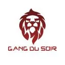 GANG DU SOIR