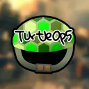 LITTLE TURTLE SHELLS