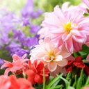 The Art Garden Discord server icon