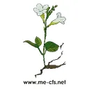 ME CFS Portal
