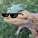Lizardinien