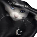 CINΘ CITY︱💀 (HΘES)