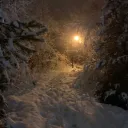 ﹒﹒winter wonderland﹗﹕boost us Discord Server Icon