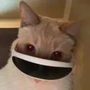 Dorker's Roblox Server's icon