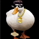 ducky2quick discordðŸ¦† Server Icon