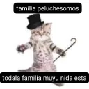 Nebula Community!