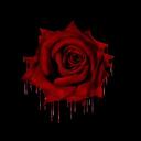 The Petals of War Discord Server Icon