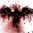 Hawk P