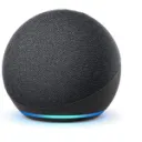 Echo 419
