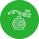 The Green Hive