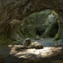 the therian + otherkin den Discord Server Icon