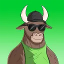 COOL BULLS