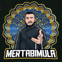 Discovery icon for MertAbiMula Discord server