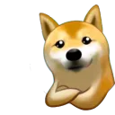 SmugDoge - Alternative Income Protocol on Dogechain