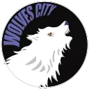 Wolverhampton Esports Society