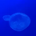 海の底