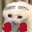 - 𝑵𝑰𝑮𝑯𝑻 𝑪𝑰𝑻𝒀 ヅ  -