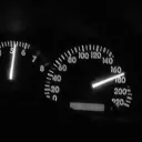 🎩┆Coquito Plantillas