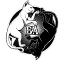 Baduk Alliance