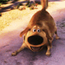 updog TBC