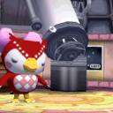 ･*･nh & nl animal crossing club･*･