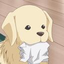 ,    || DOGHOUSE Discord Server Icon