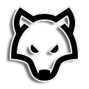 The Wolves Academy
