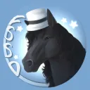 𝐅𝐢𝐧𝐧𝐢𝐬𝐡 𝐒𝐭𝐚𝐫 𝐒𝐭𝐚𝐛𝐥𝐞 𝐃𝐫𝐞𝐬𝐬𝐚𝐠𝐞