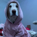 Goofy Aah ServerðŸ’€ Server Icon