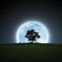 moonlight Discord Server Icon