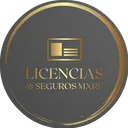 🇲🇽 | Licencias & Seguros MXRP™