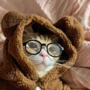 The Cat's Litter Discord Server Icon