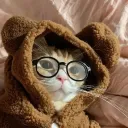 The Cat's Litter Discord Server Icon