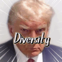 Diversity's icon