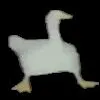Random Anomic