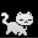 Super Cute Cat
