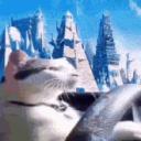 https://cdn.discordapp.com/icons/1036386118914031746/2aa1ad399674c24367a70e98039a0972.jpg?size=128