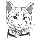 SoyNion Server