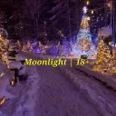 M❄❄nlight | 18+ discord icon